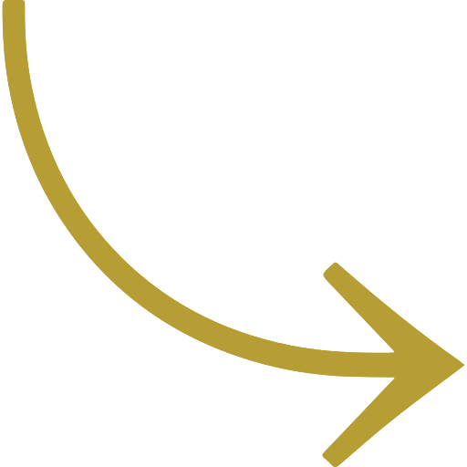 noun-arrow-47775-B79E34